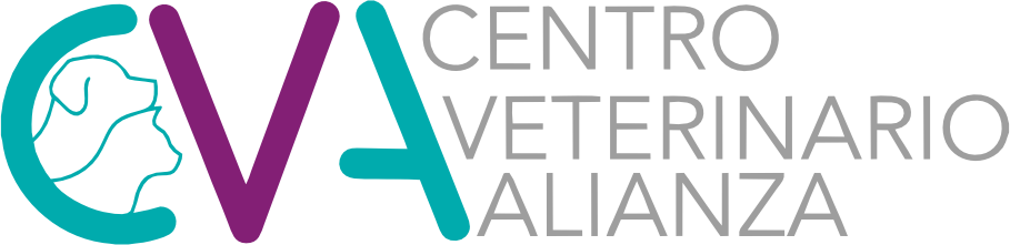 branding logo